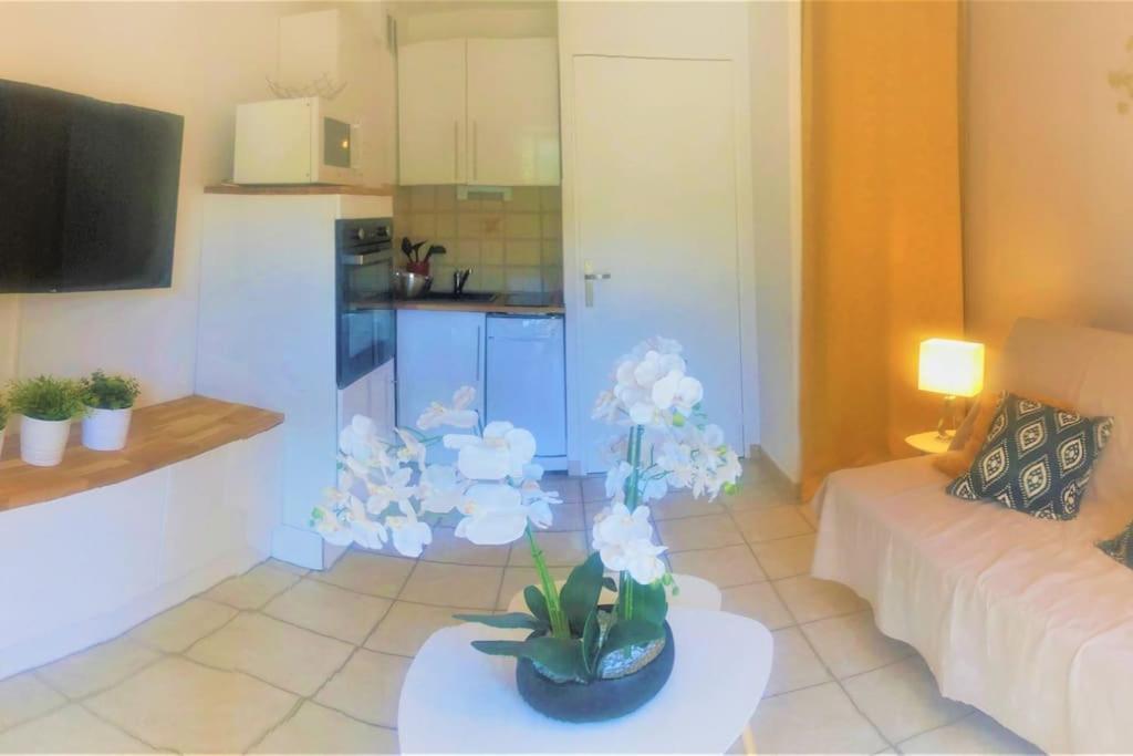 Climatise 800 M De La Et Des Commerces Appartement