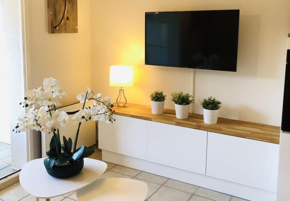 Climatise 800 M De La Et Des Commerces Appartement