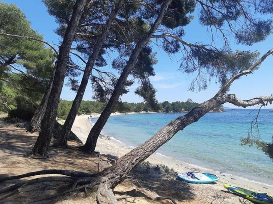 Climatise 800 M De La Et Des Commerces Apartamento